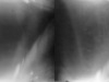 110_year_old_camera_film_developingmarkus_hofstaetter_mhaustria.com_20
