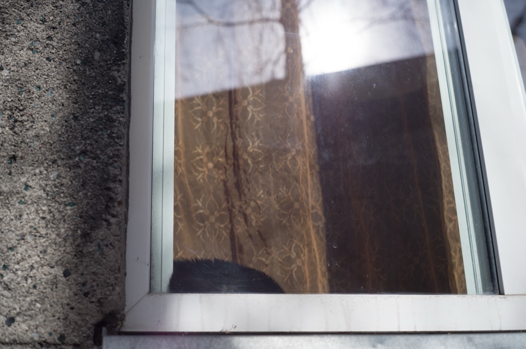 The_analog_photography_part_of_estonia_tallinn_Markus_hofstaetter_mhaustria.com_16