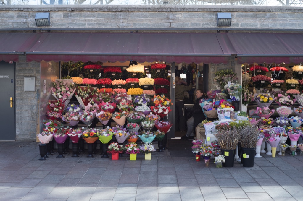 The_analog_photography_part_of_estonia_tallinn_Markus_hofstaetter_mhaustria.com_19