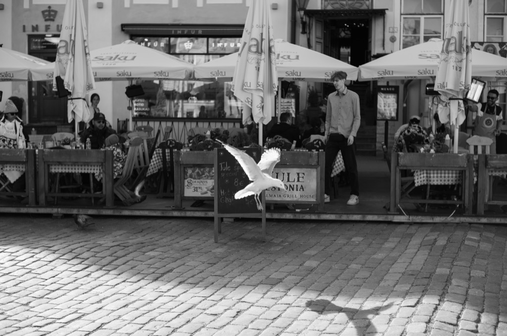 The_analog_photography_part_of_estonia_tallinn_Markus_hofstaetter_mhaustria.com_25