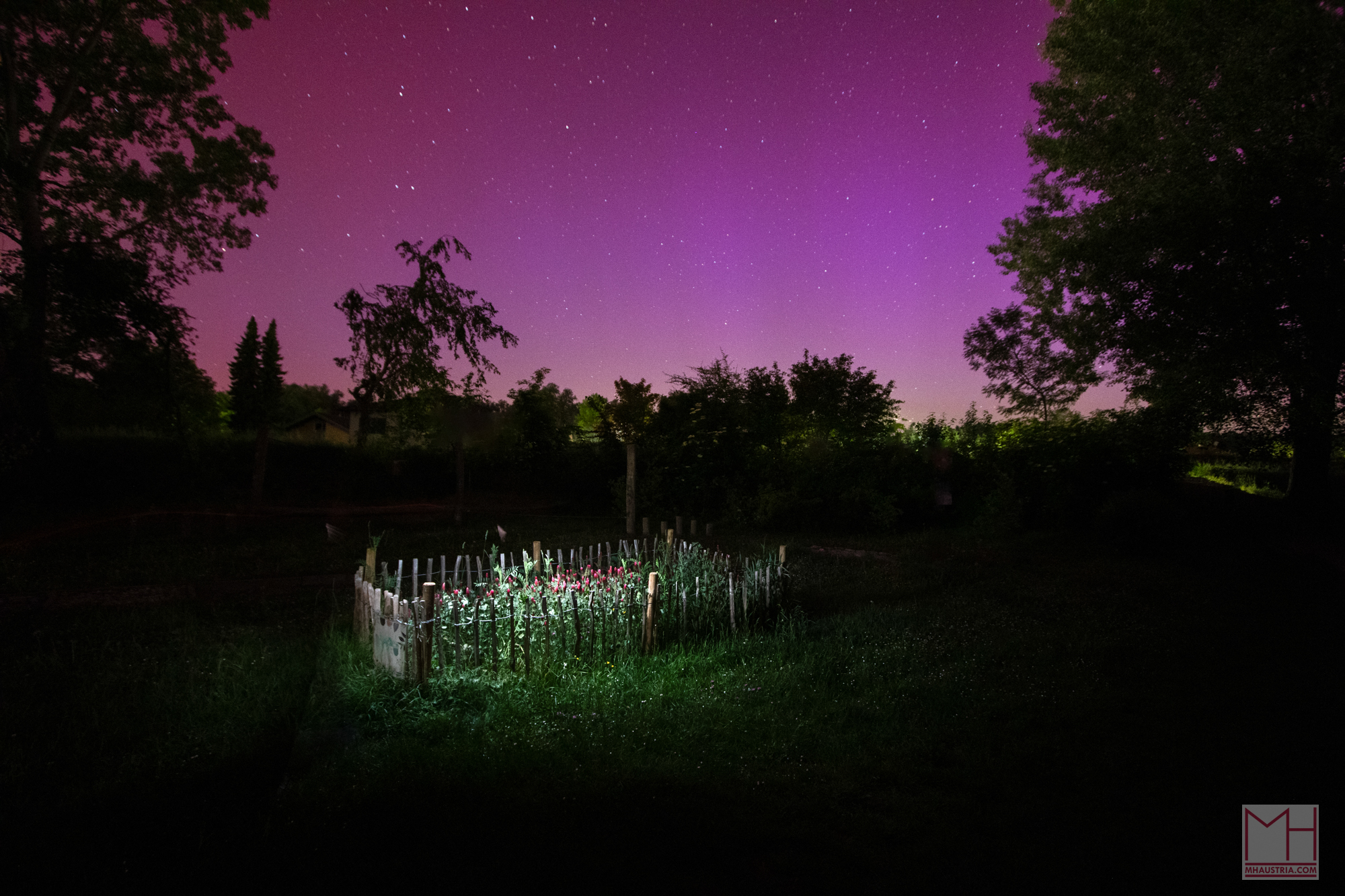 Aurora_Polarlichter_Austira_Muckendorf_markus_hofstaetter_mhaustria.com_11