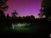 Aurora_Polarlichter_Austira_Muckendorf_markus_hofstaetter_mhaustria.com_11