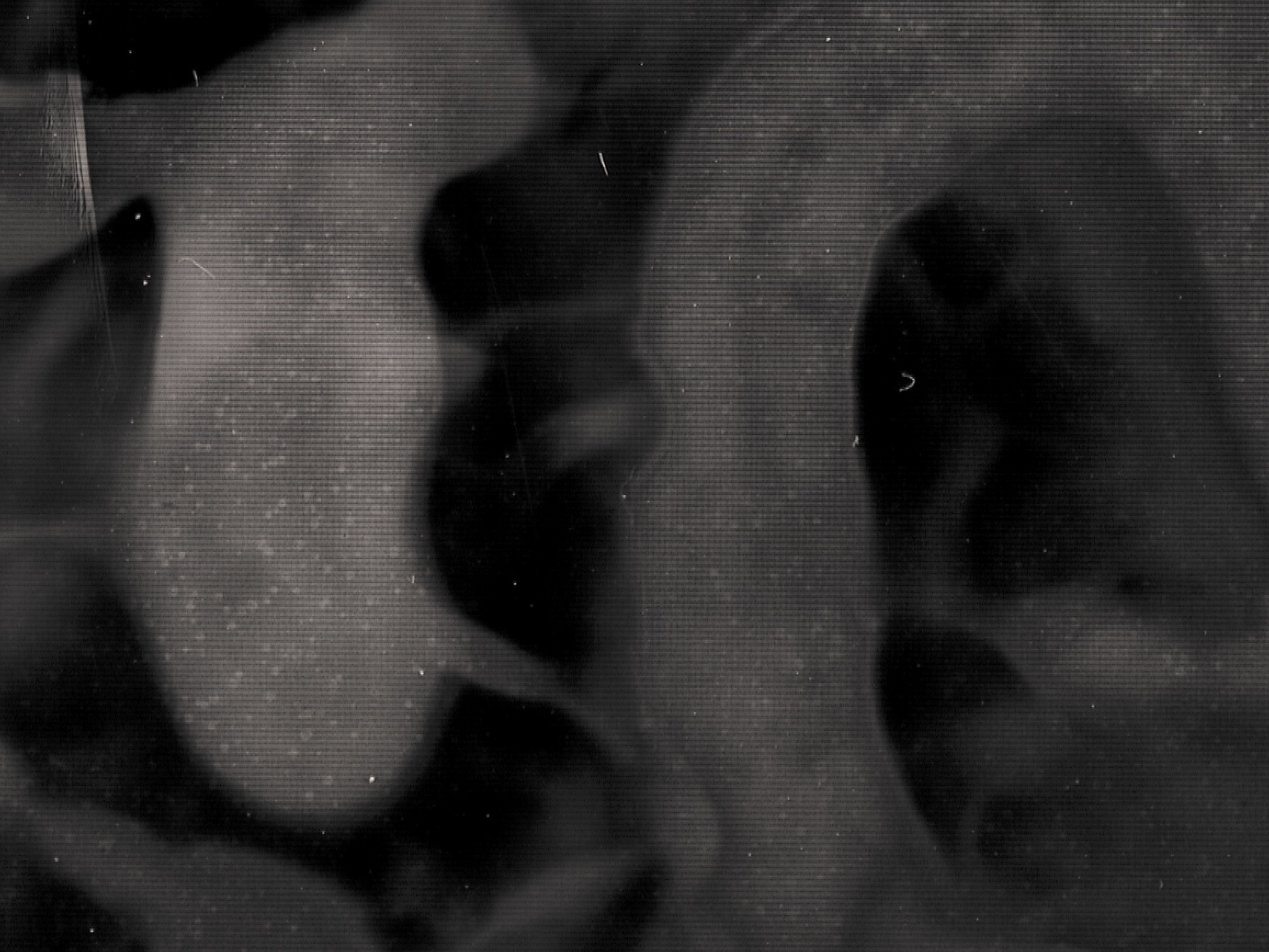 Boris_Eldagsen_Analog_AI_tintype_copyright_Markus_Hofstatter_mhaustria.com_00010