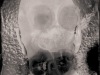 Boris_Eldagsen_Analog_AI_tintype_copyright_Markus_Hofstatter_mhaustria.com_00001