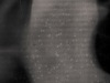 Boris_Eldagsen_Analog_AI_tintype_copyright_Markus_Hofstatter_mhaustria.com_00011