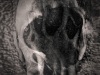 Boris_Eldagsen_Analog_AI_tintype_copyright_Markus_Hofstatter_mhaustria.com_00012