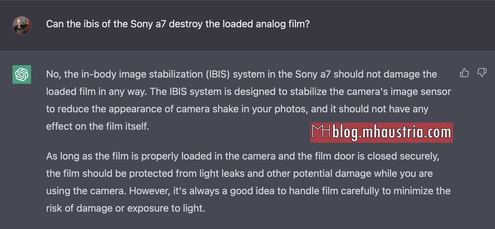 ibis_and_analog_film_sony_a7_chatgpt_questions_markus_hofstaetter.mhaustria.com_