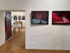 1_exhibitions_wet_plate_Markus_hofstaetter_mhaustria.com6_