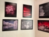 exhibitions_wet_plate_Markus_hofstaetter_mhaustria.com5_