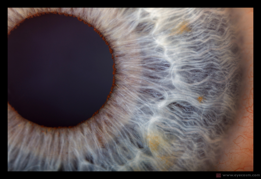 AN_-EYE_FULL_OF_OCEAN  iris photography macro