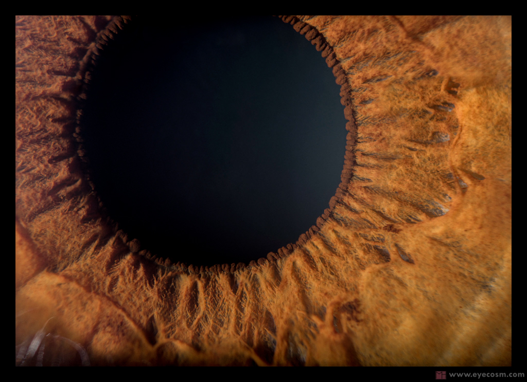 THE_EYE_IS_THE_DOOR_TO_YOUR_SOUL  iris photography macro