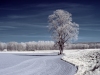 Markus_hofstaetter_mhaustria.com_pentax_k_20