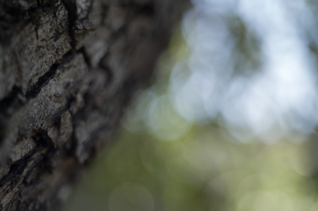 Weired_Macro_Lens_Novoflex_Noflexar_35_Markus_Hofstaetter_mhaustria.com_19