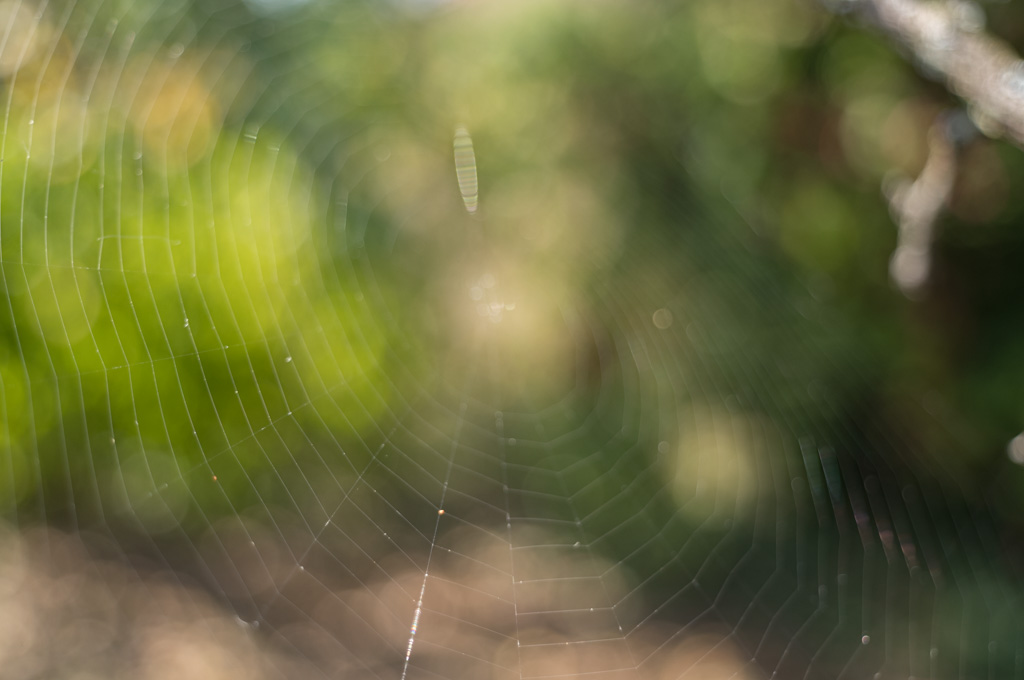 Weired_Macro_Lens_Novoflex_Noflexar_35_Markus_Hofstaetter_mhaustria.com_20