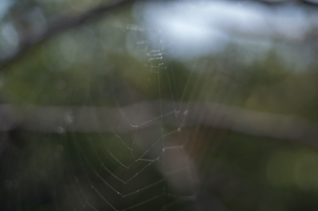 Weired_Macro_Lens_Novoflex_Noflexar_35_Markus_Hofstaetter_mhaustria.com_6