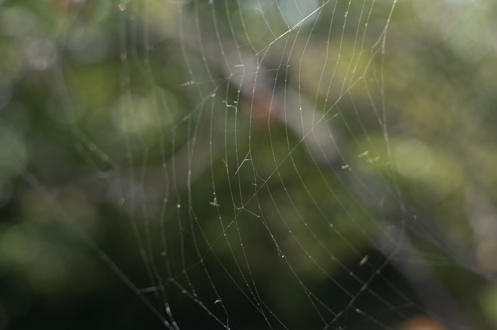 Weired_Macro_Lens_Novoflex_Noflexar_35_Markus_Hofstaetter_mhaustria.com_7