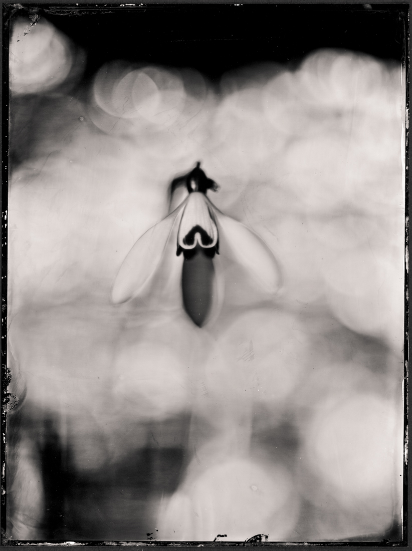 spring_dreamingatintype_story_by_markus_hofstaetter_mhaustria.com_13