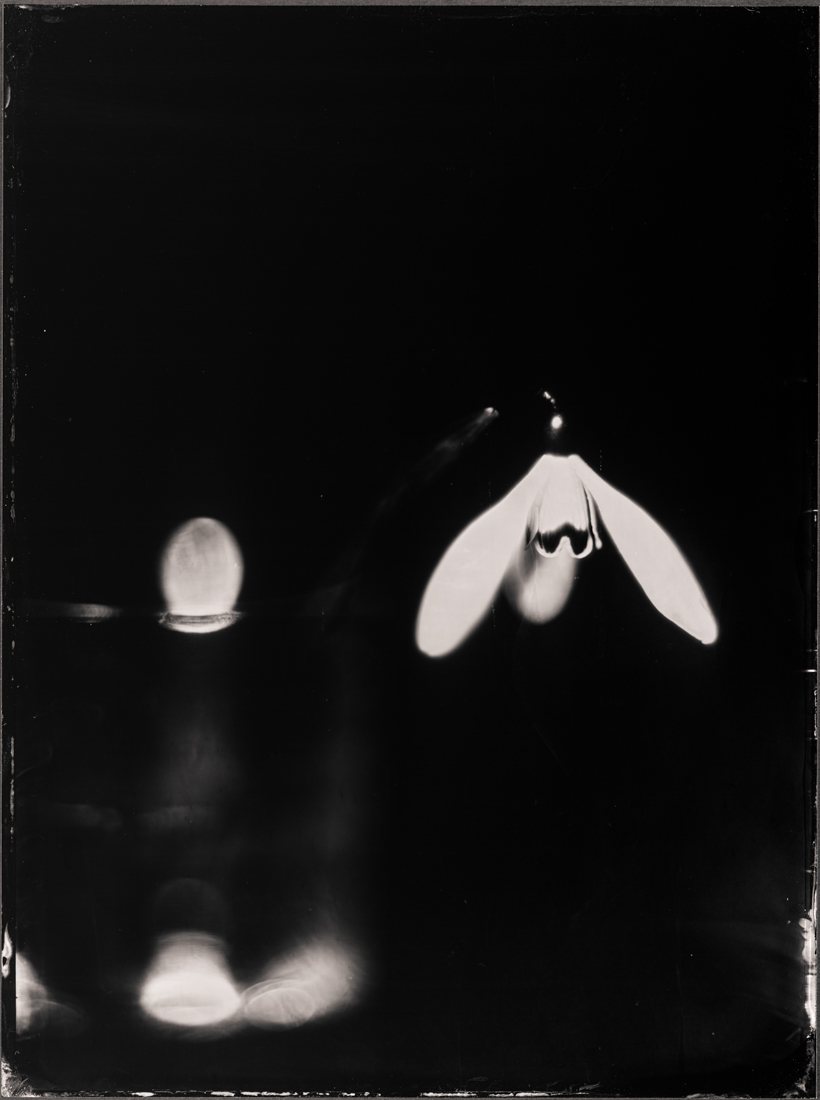 spring_dreamingatintype_story_by_markus_hofstaetter_mhaustria.com_14