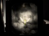 spring_dreamingatintype_story_by_markus_hofstaetter_mhaustria.com_3