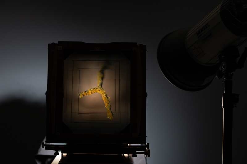 Markus_Hofstaetter_photographer_mhaustria_com_3d_printed_wet_plates_part_211