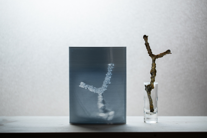 Markus_Hofstaetter_photographer_mhaustria_com_3d_printed_wet_plates_part_215