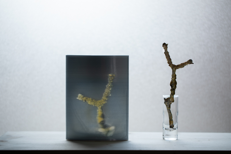 Markus_Hofstaetter_photographer_mhaustria_com_3d_printed_wet_plates_part_216