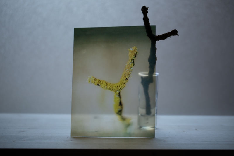 Markus_Hofstaetter_photographer_mhaustria_com_3d_printed_wet_plates_part_217