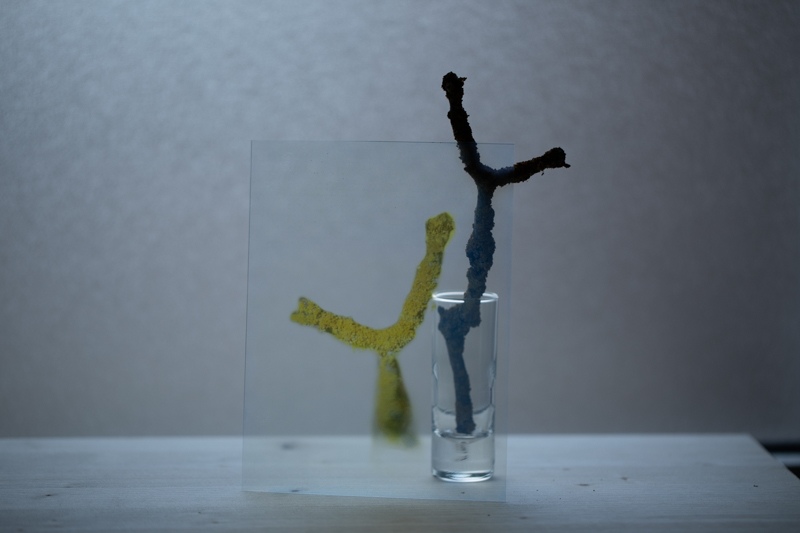 Markus_Hofstaetter_photographer_mhaustria_com_3d_printed_wet_plates_part_219