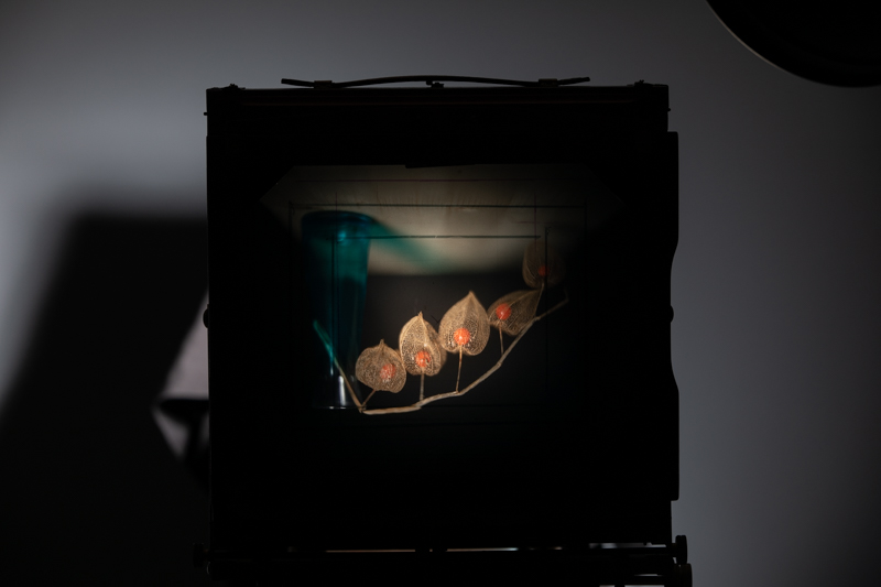 Markus_Hofstaetter_photographer_mhaustria_com_3d_printed_wet_plates_part_22