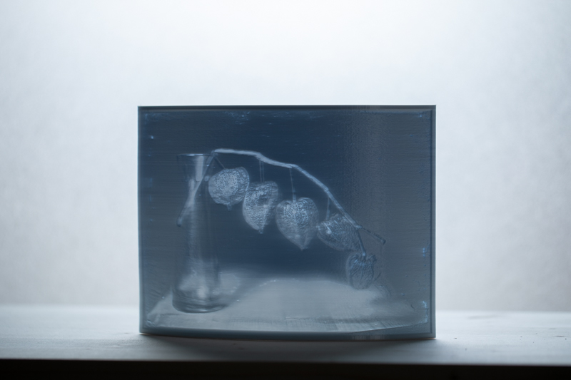 Markus_Hofstaetter_photographer_mhaustria_com_3d_printed_wet_plates_part_220