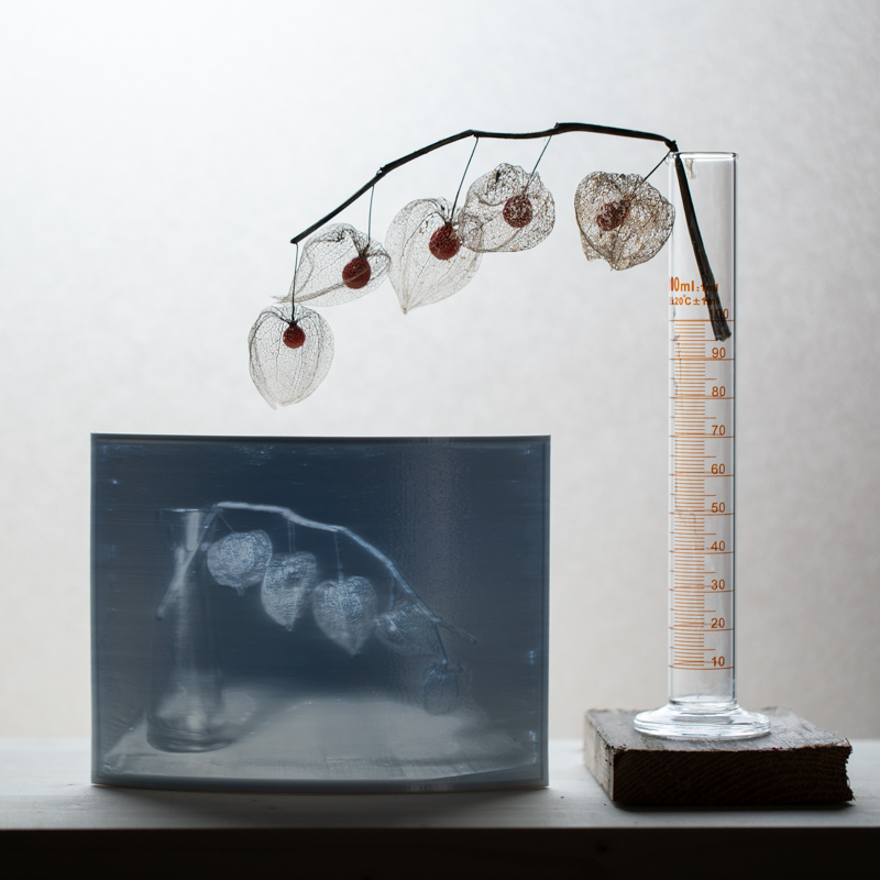 Markus_Hofstaetter_photographer_mhaustria_com_3d_printed_wet_plates_part_221