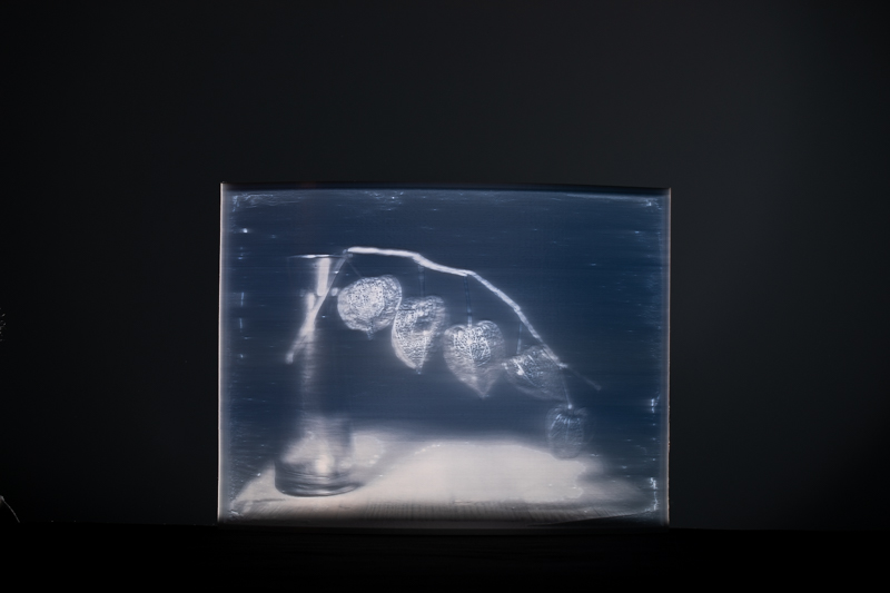 Markus_Hofstaetter_photographer_mhaustria_com_3d_printed_wet_plates_part_222