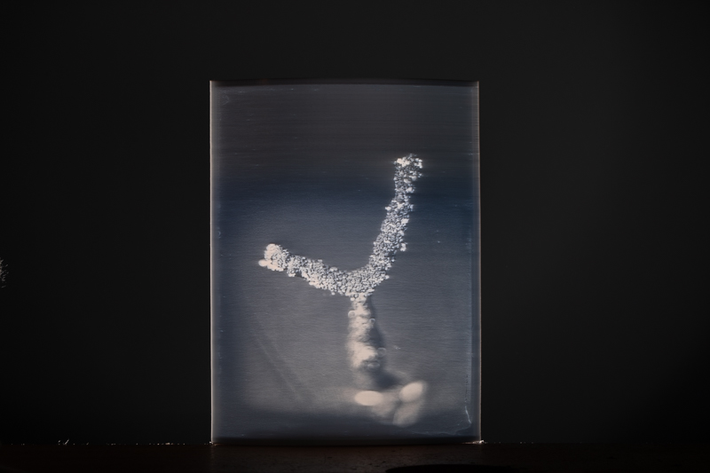 Markus_Hofstaetter_photographer_mhaustria_com_3d_printed_wet_plates_part_223