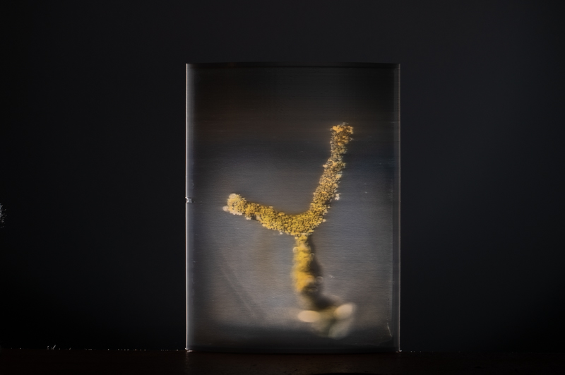 Markus_Hofstaetter_photographer_mhaustria_com_3d_printed_wet_plates_part_224