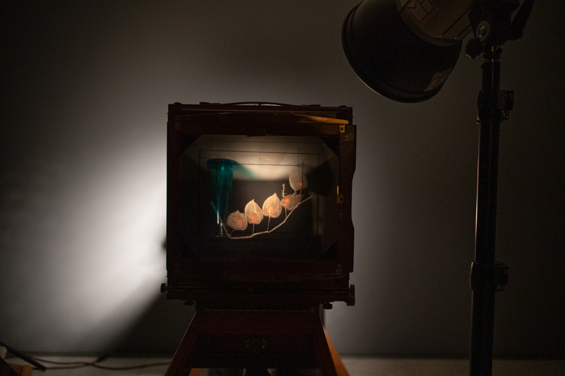 Markus_Hofstaetter_photographer_mhaustria_com_3d_printed_wet_plates_part_226