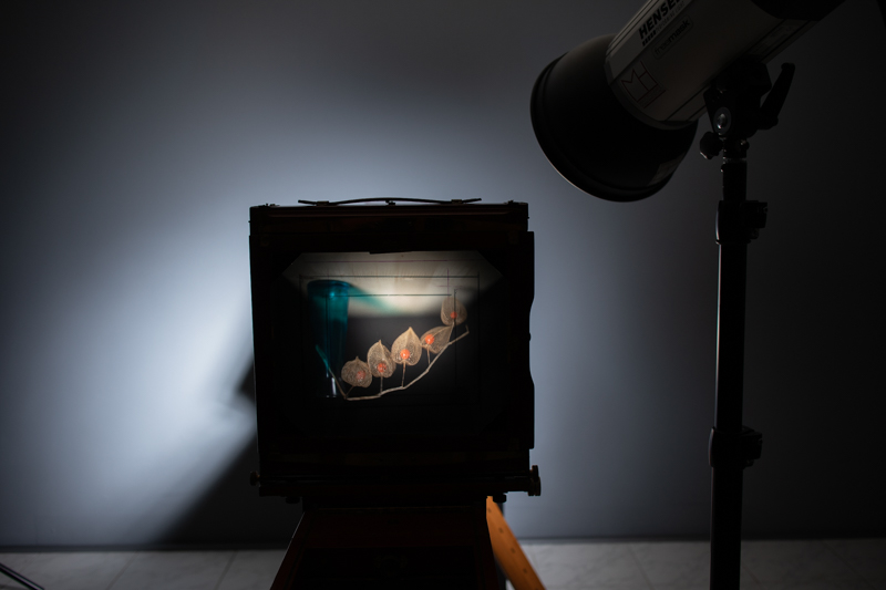 Markus_Hofstaetter_photographer_mhaustria_com_3d_printed_wet_plates_part_229