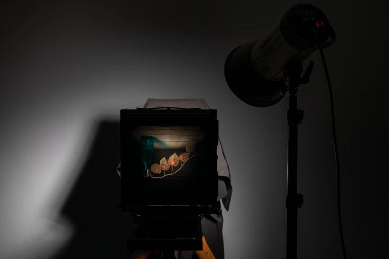 Markus_Hofstaetter_photographer_mhaustria_com_3d_printed_wet_plates_part_23