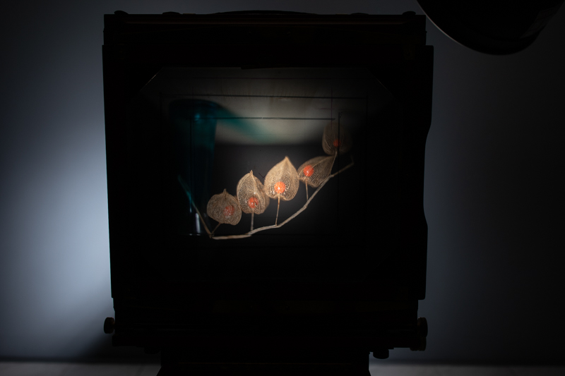 Markus_Hofstaetter_photographer_mhaustria_com_3d_printed_wet_plates_part_230