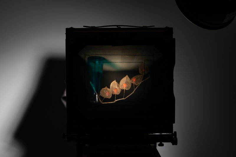 Markus_Hofstaetter_photographer_mhaustria_com_3d_printed_wet_plates_part_24