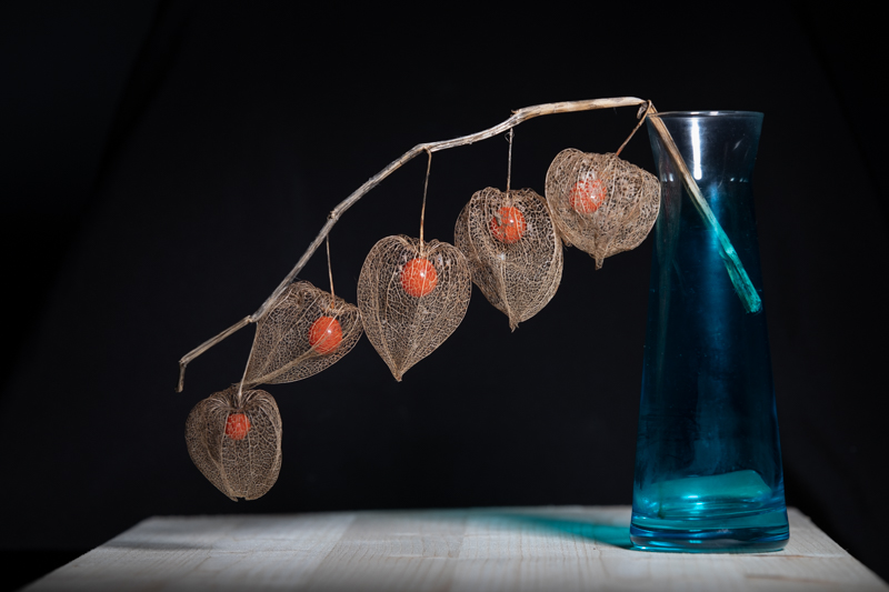 Markus_Hofstaetter_photographer_mhaustria_com_3d_printed_wet_plates_part_25