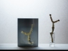Markus_Hofstaetter_photographer_mhaustria_com_3d_printed_wet_plates_part_216