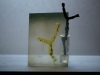Markus_Hofstaetter_photographer_mhaustria_com_3d_printed_wet_plates_part_217