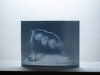Markus_Hofstaetter_photographer_mhaustria_com_3d_printed_wet_plates_part_220