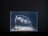 Markus_Hofstaetter_photographer_mhaustria_com_3d_printed_wet_plates_part_222