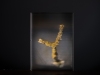 Markus_Hofstaetter_photographer_mhaustria_com_3d_printed_wet_plates_part_224
