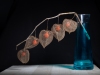 Markus_Hofstaetter_photographer_mhaustria_com_3d_printed_wet_plates_part_25