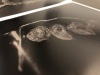 Markus_Hofstatter_Fine_ART_Print_WET_PLATE_MHAUSTRIA_COM