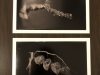 Markus_Hofstatter_Fine_ART_Print_WET_PLATE_MHAUSTRIA_COM_2