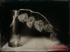 life-within-death-wet-plate-Markus-hofstaetter-mhaustria-com
