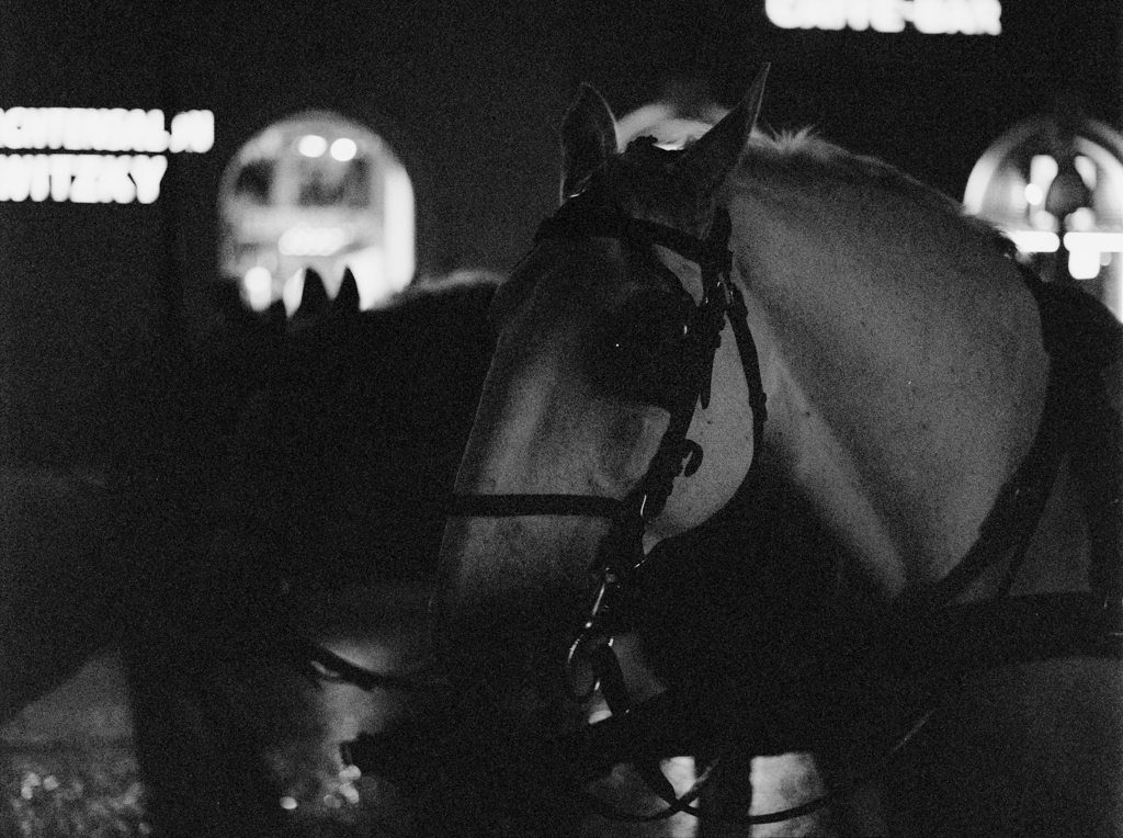 Medium_Format_Street_photography_vienna_Kodak-trix_6400_markus_hofstaetter_mhaustria.com_16